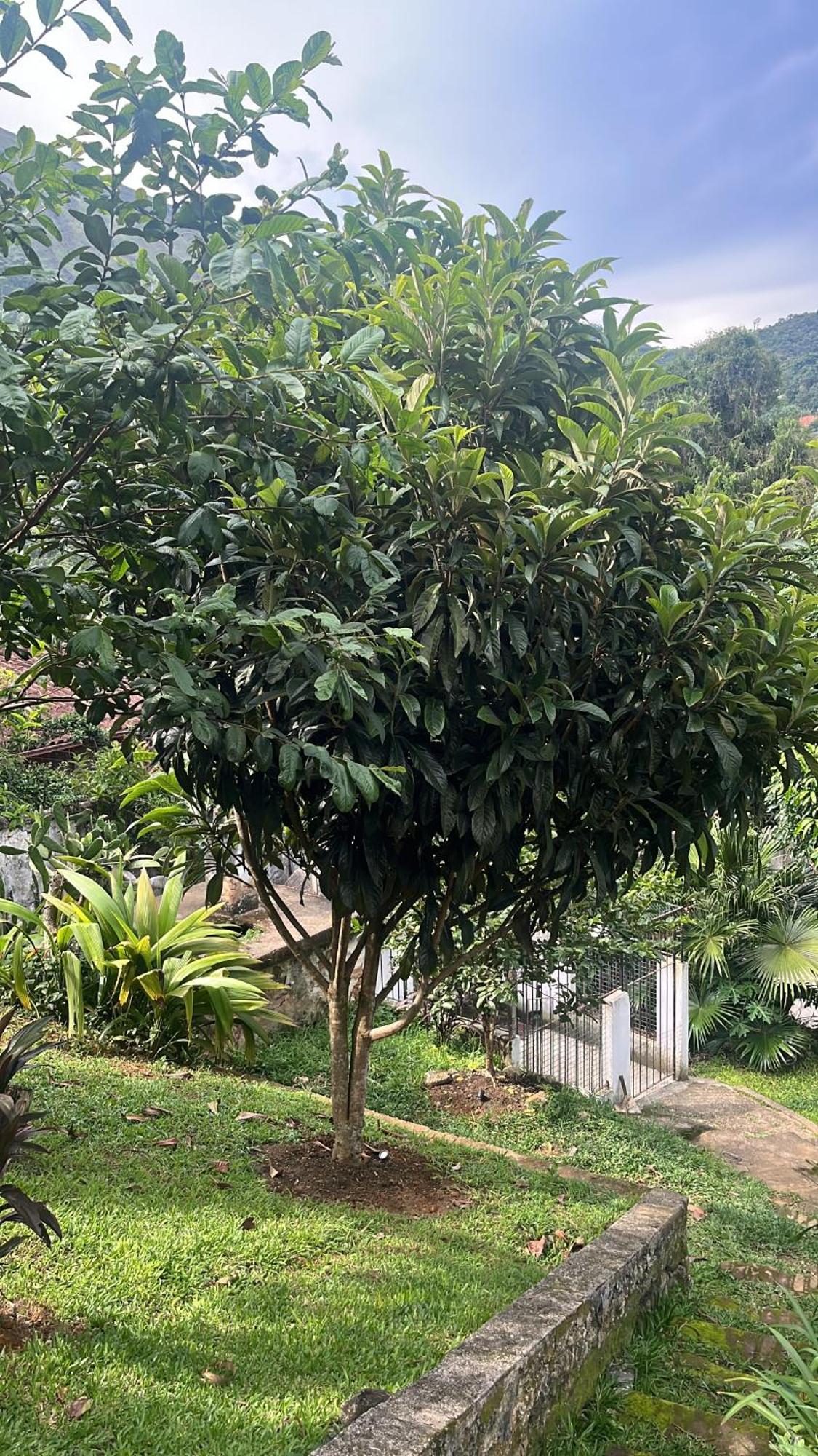 Refugio Imperial * Petropolis (Rio de Janeiro)